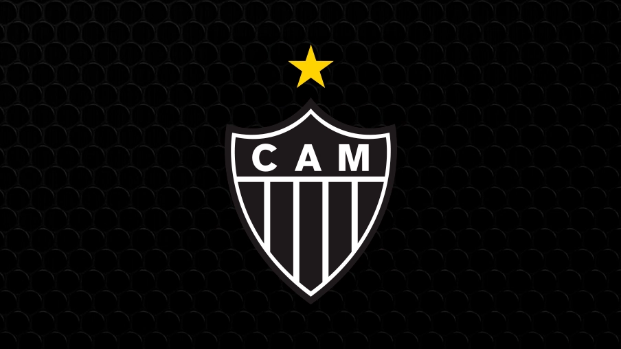 Imagem mostra escudo do Botafogo